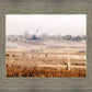 Fort Collins All is Safely Gathered In