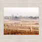 Fort Collins All is Safely Gathered In