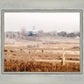 Fort Collins All is Safely Gathered In
