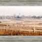Fort Collins All is Safely Gathered In