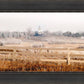 Fort Collins All is Safely Gathered In