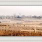 Fort Collins All is Safely Gathered In