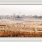 Fort Collins All is Safely Gathered In