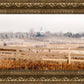 Fort Collins All is Safely Gathered In