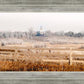 Fort Collins All is Safely Gathered In
