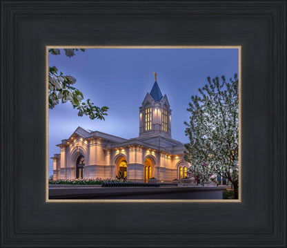 Fort Collins Dawn's Bouquet