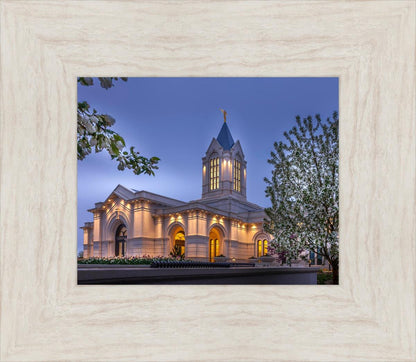 Fort Collins Dawn's Bouquet