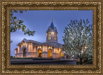 Fort Collins Dawn's Bouquet