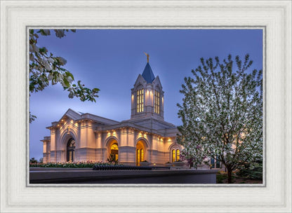 Fort Collins Dawn's Bouquet