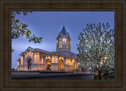 Fort Collins Dawn's Bouquet