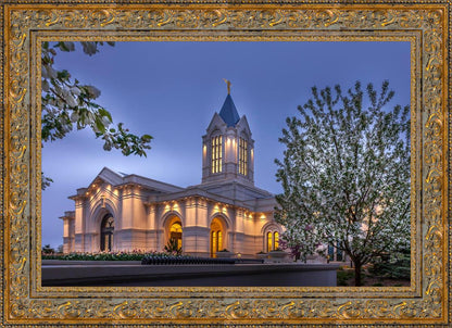 Fort Collins Dawn's Bouquet