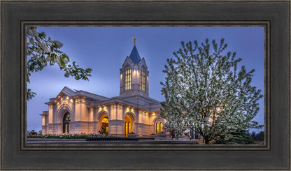 Fort Collins Dawn's Bouquet