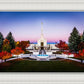 Denver Temple Bright Millennial Day