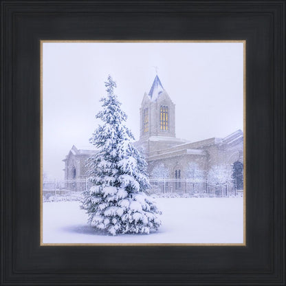 Fort Collins Warmth Within