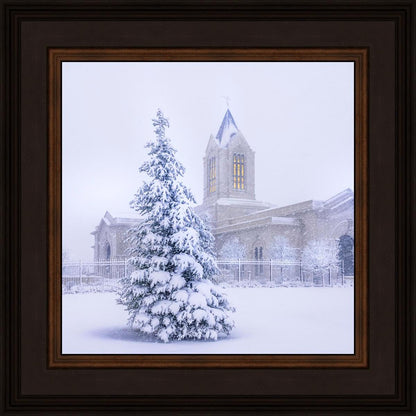 Fort Collins Warmth Within