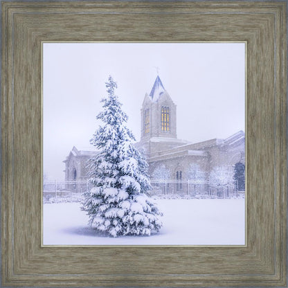 Fort Collins Warmth Within