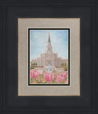 Houston Temple Sacred Haven