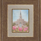 Houston Temple Sacred Haven