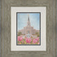 Houston Temple Sacred Haven