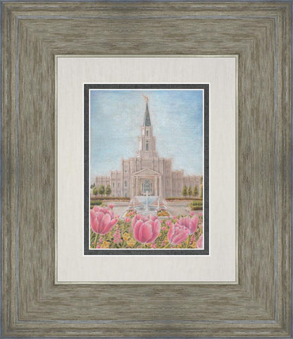 Houston Temple Sacred Haven