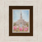 Houston Temple Sacred Haven