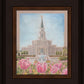 Houston Temple Sacred Haven