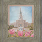 Houston Temple Sacred Haven