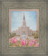 Houston Temple Sacred Haven