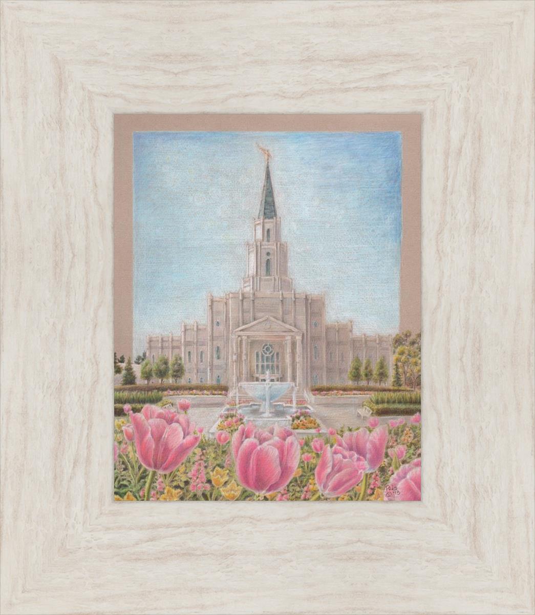 Houston Temple Sacred Haven