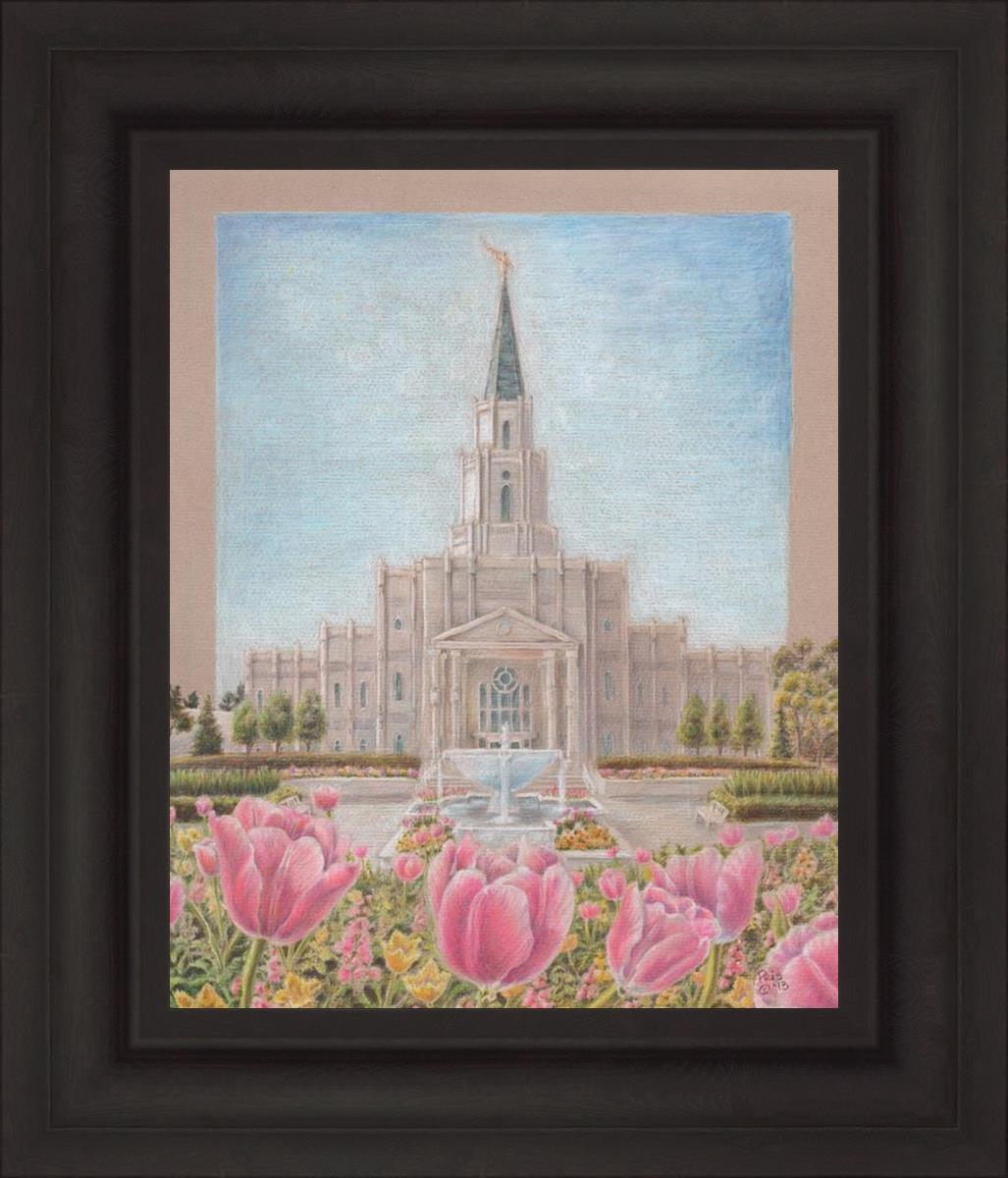 Houston Temple Sacred Haven