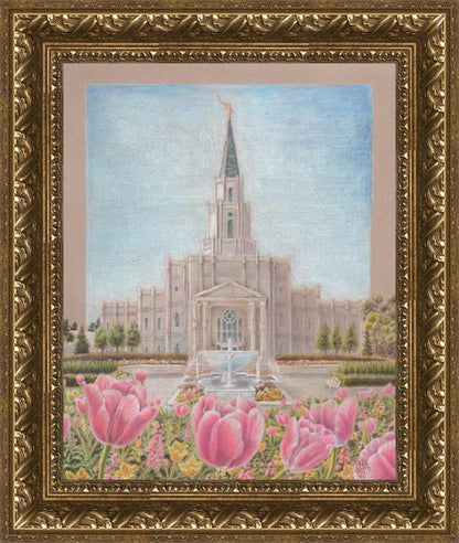 Houston Temple Sacred Haven