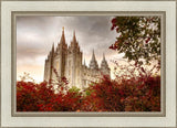 Salt Lake Autumn Trees