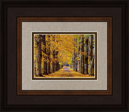 Plate 1 - Dairy Hill Horizontal