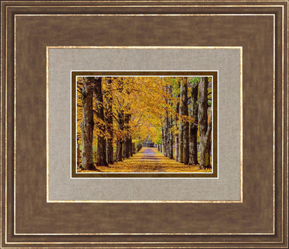 Plate 1 - Dairy Hill Horizontal