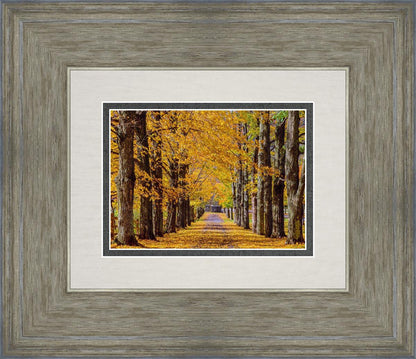 Plate 1 - Dairy Hill Horizontal