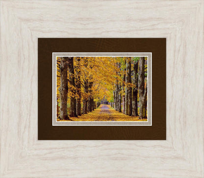 Plate 1 - Dairy Hill Horizontal