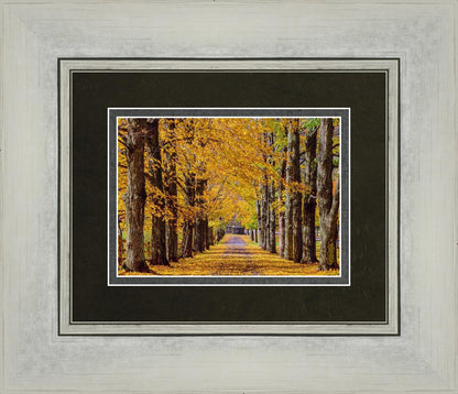 Plate 1 - Dairy Hill Horizontal