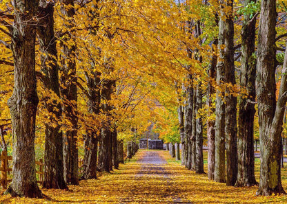 Plate 1 - Dairy Hill Horizontal