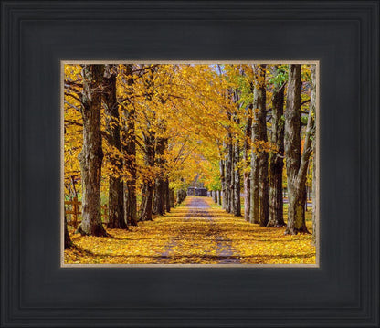 Plate 1 - Dairy Hill Horizontal