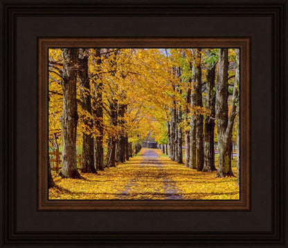 Plate 1 - Dairy Hill Horizontal