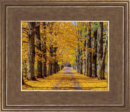 Plate 1 - Dairy Hill Horizontal