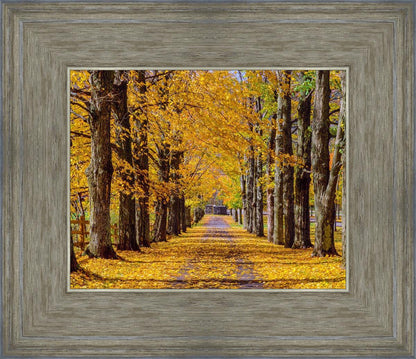 Plate 1 - Dairy Hill Horizontal