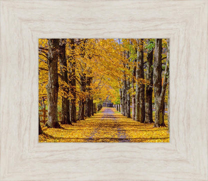 Plate 1 - Dairy Hill Horizontal