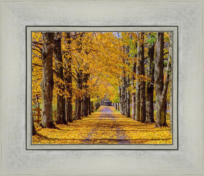 Plate 1 - Dairy Hill Horizontal