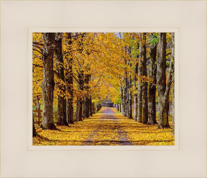 Plate 1 - Dairy Hill Horizontal