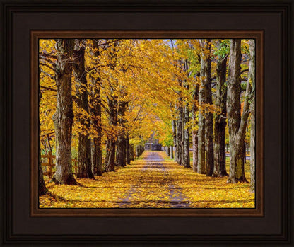 Plate 1 - Dairy Hill Horizontal