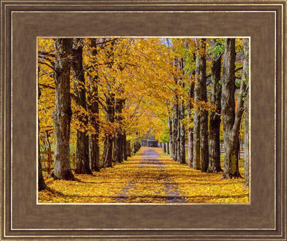 Plate 1 - Dairy Hill Horizontal