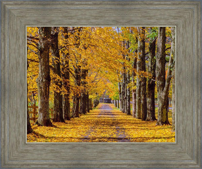 Plate 1 - Dairy Hill Horizontal