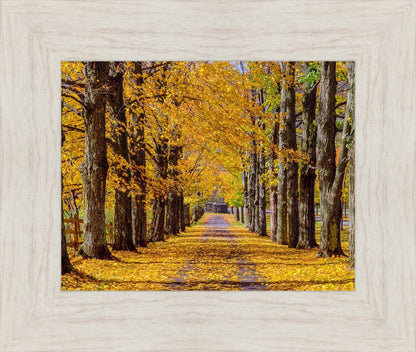 Plate 1 - Dairy Hill Horizontal