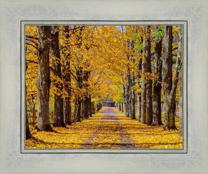 Plate 1 - Dairy Hill Horizontal